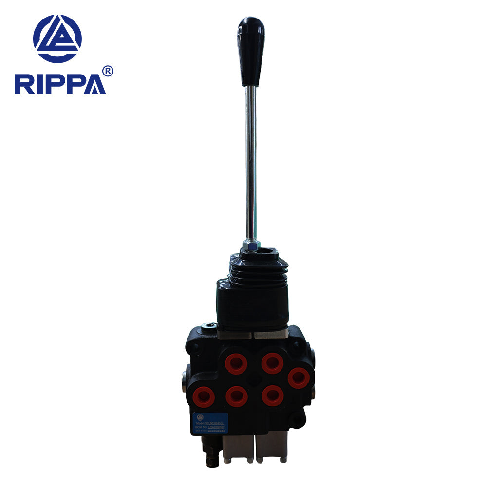 Skid Steer Loader RS04 Dual Section Multi-Valve - Left[LP0602020007]