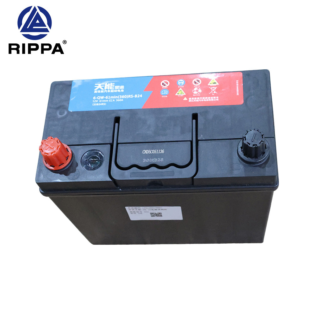 Skid Steer Loader RS04/Excavator R10-5 Yoop/R10-5 Briggs & Stratton Battery[LP0106010001]