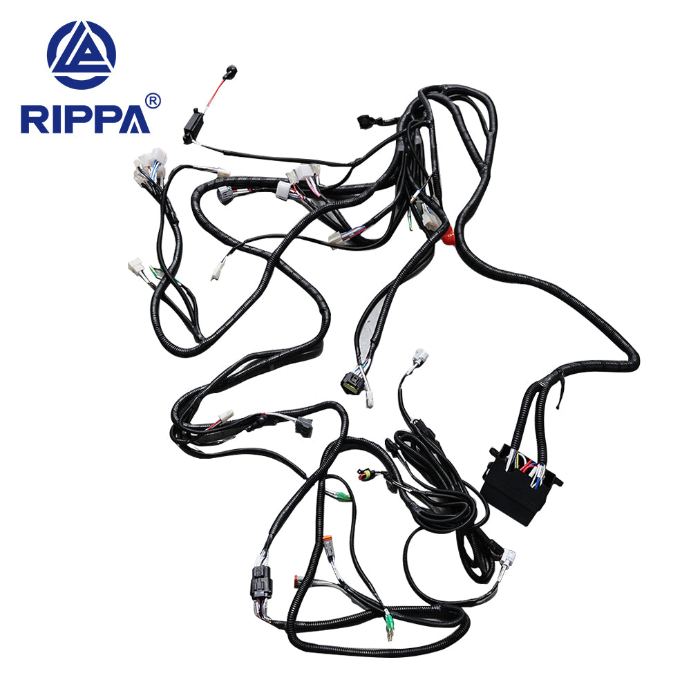 Excavator R22-2 Kubota Kubota D1105 Complete Wiring Harness[LP0106020438]